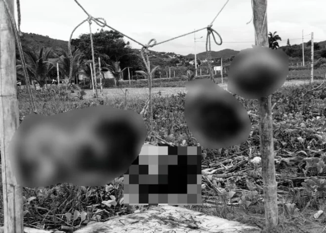 Ekvadoras pludmalē atrastas piecas cilvēku galvas, kurām pievienoti draudīgi vēstījumi