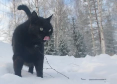 Ночью местами похолодает до -25 градусов