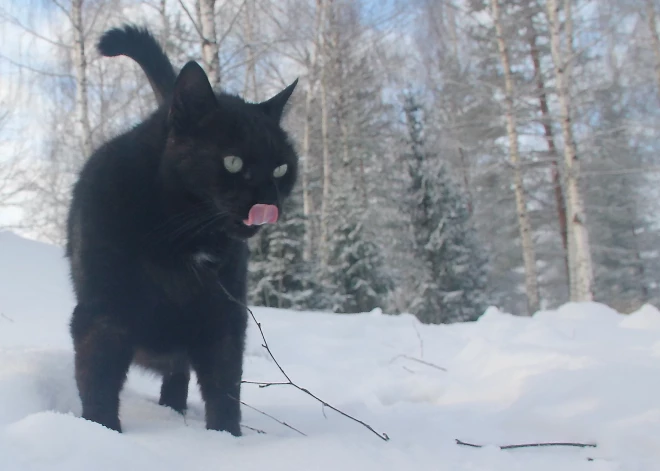 Ночью местами похолодает до -25 градусов