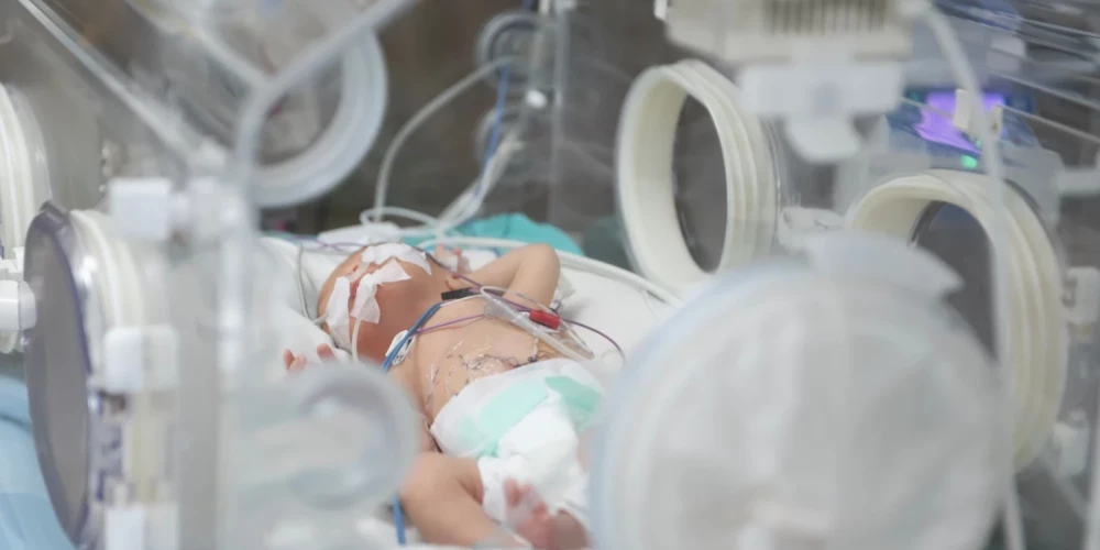 В Польше расследуют шокирующий случай.