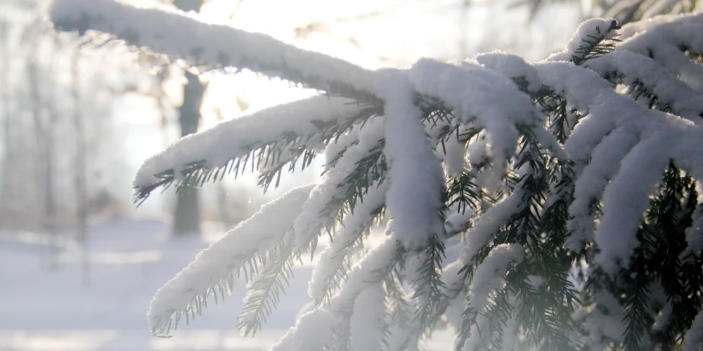 В Риге ожидаются морозы ниже -15°C.