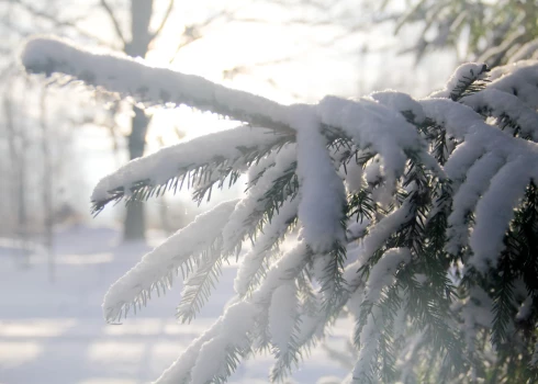 В Риге ожидаются морозы ниже -15°C.