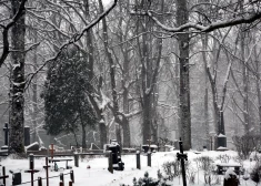 В Латвии хотят разрешить новый вариант прощания - развеивать прах на кладбищах