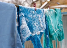 Sals un sniegs ir ideāls laiks vilnas adījumu uzfrišināšanai - pamācība soli pa solim