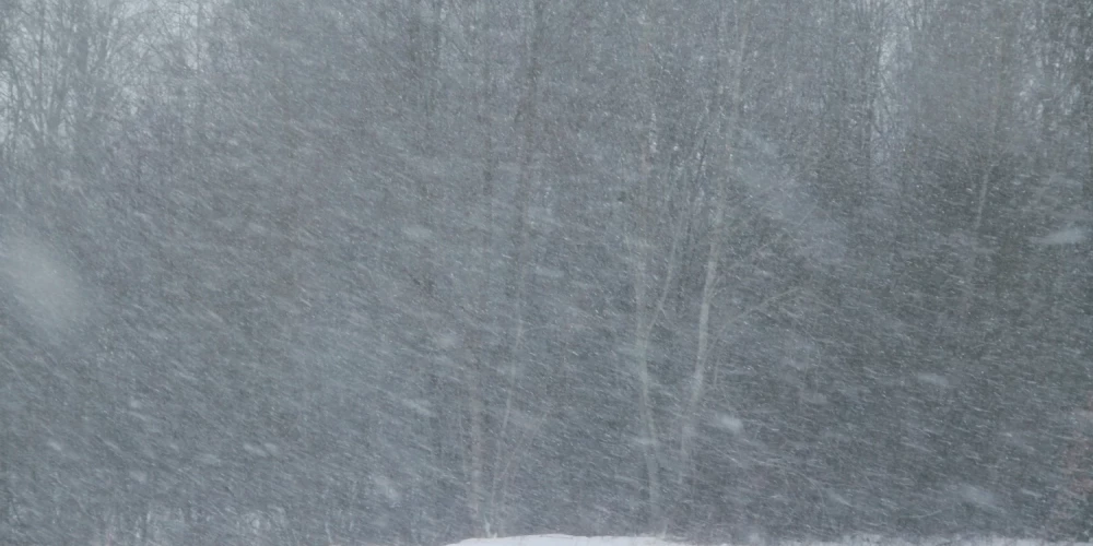 Иллюстративное фото.