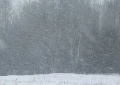 Метель и мороз: в среду погода в Латвии резко ухудшится