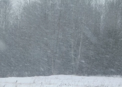 Иллюстративное фото.