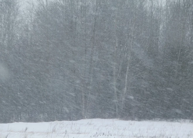 Метель и мороз: в среду погода в Латвии резко ухудшится