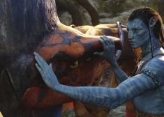 Sievietes nespēj pārstāt domāt par filmas "Avatars" tēlu Džeiku Salliju, turklāt pavisam negaidīta iemesla dēļ