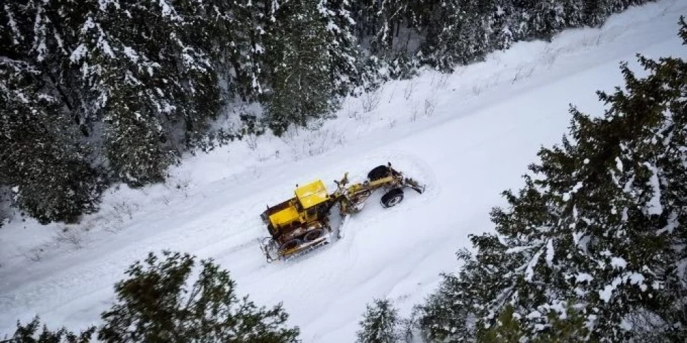 LVM meža autoceļos pabeiguši sniega tīrīšanas darbus 8450 kilometru garumā. 
