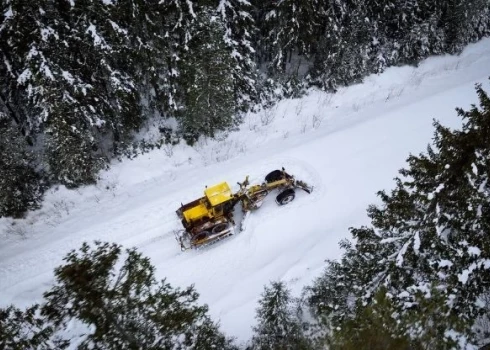 LVM meža autoceļos pabeiguši sniega tīrīšanas darbus 8450 kilometru garumā. 