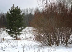 Augšdaugavas novadā no februāra mainīsies zemes nomas maksa