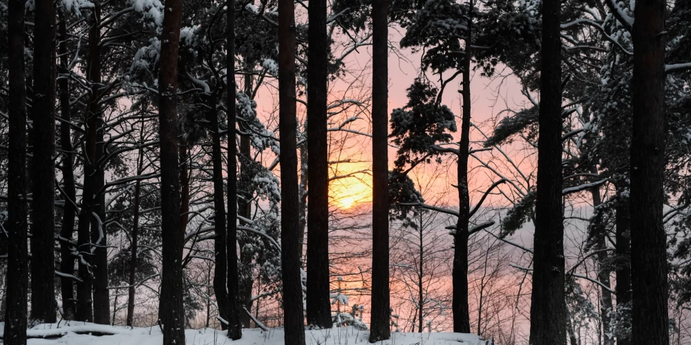 Иллюстративное фото.
