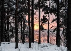 Солнечная и морозная пятница: в Латвии до –14 градусов