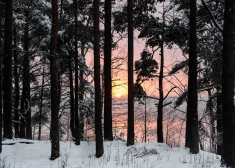 Piektdien Latvijā spīdēs saule un saglabāsies sals