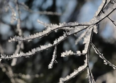 Latviju pārņems Arktikas aukstums – janvārī iespējams lielākais sals kopš 2012. gada
