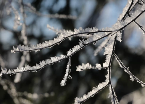 Pēc nedēļas Latviju var sasniegt bargāks sals.