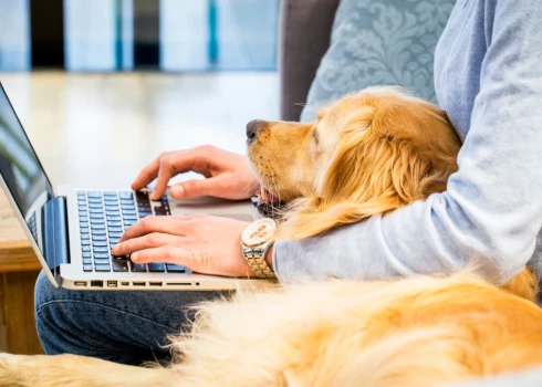 Прогнозы экспертов свидетельствуют, что сочетание очной и удаленной работы сохранится и в 2026 году.