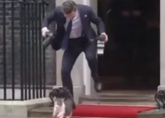 “Noskatieties video…” britu valdības kaķis Lerijs internetā taisnojas - neesot klupinājis to poļu fotogrāfu