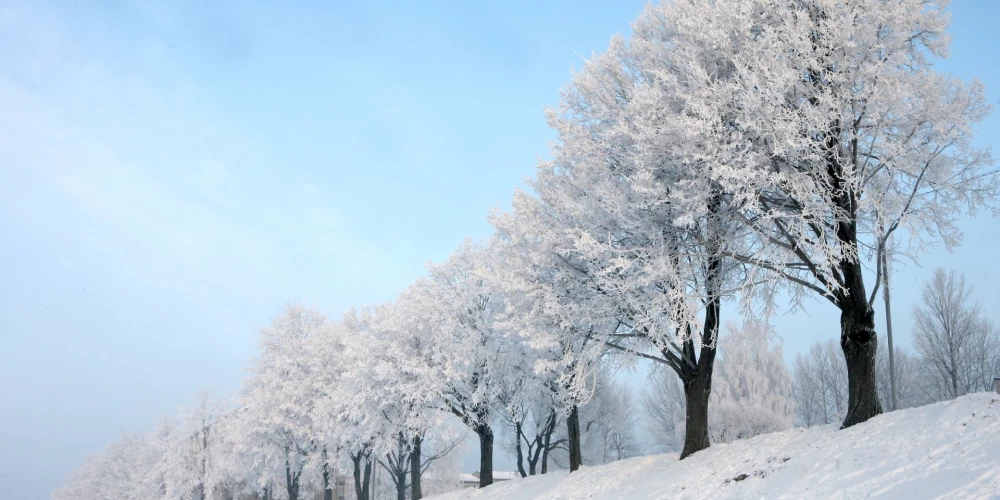 Иллюстративное фото.