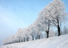 В Латвии в субботу ожидаются морозы до -19 градусов