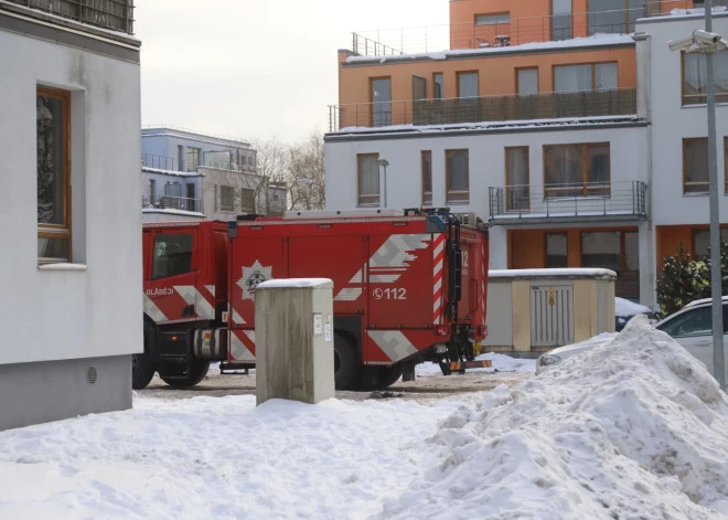 Kamēr atbildīgie dienesti vēl nav nākuši klajā ar traģiskā ugunsgrēka iemesliem Krustkalnu ciemā, kaimiņi – kuri atradušies ugunsnelaimei aiz sienas –, Jauns.lv stāsta, ka pamodušies paši. Licies, ka blakustelpās notiek kāds konflikts, dzirdējuši soļus.