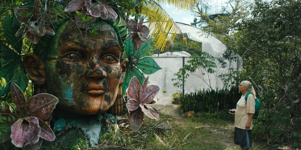 Кадр из фильма "Голубая тропа".