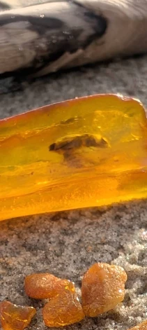 Ilze Rojas pludmalē pamanījusi ļoti īpašu dzintaru.