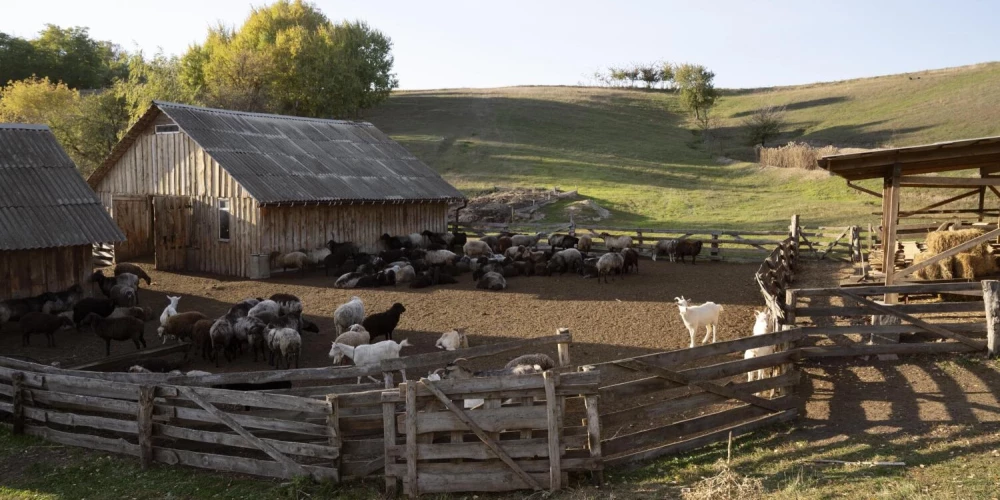 Aizpildi testu un tiec skaidrībā!