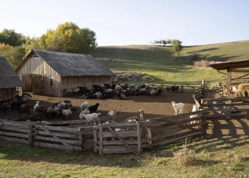 Aizpildi testu un tiec skaidrībā!