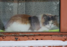 Vienkārši veidi, kā jau šajā apkures sezonā maksāt mazāk