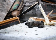 Kādēļ liesmas izplatījās tik strauji? Pēc traģēdijas Krustkalnu ciemā vairāki neatbildēti jautājumi