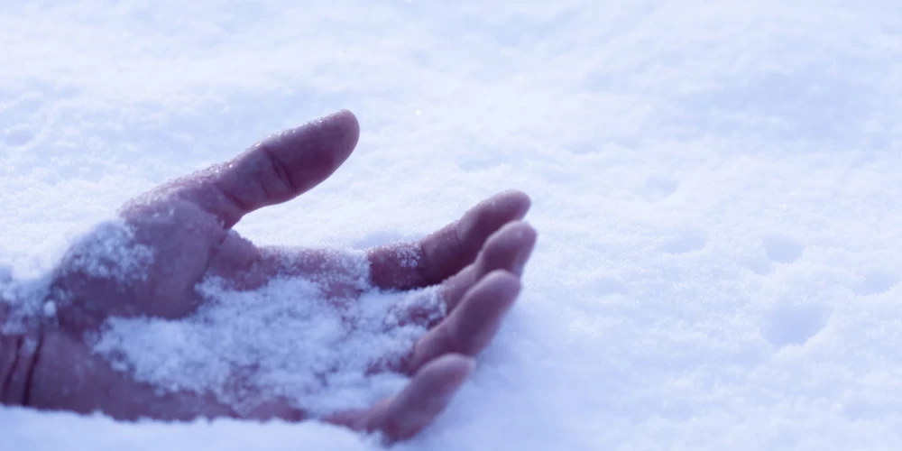 Иллюстративное фото.