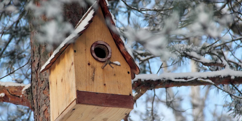 Ilustratīvs attēls.