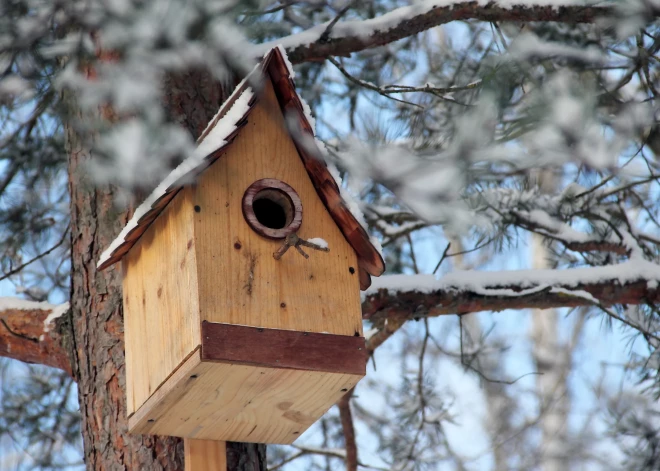 Svētdien Latvijā nokrišņi nav gaidāmi