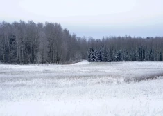 В Риге в воскресенье будет солнечно и сухо: температура опустится до -9