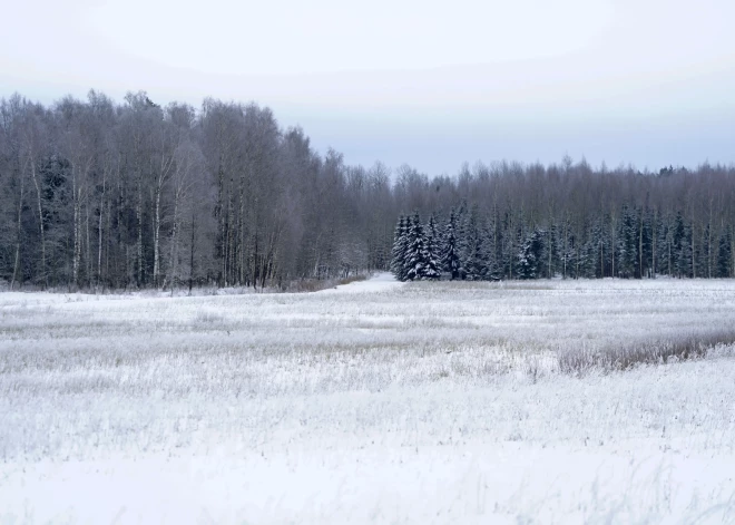 В Риге в воскресенье будет солнечно и сухо: температура опустится до -9