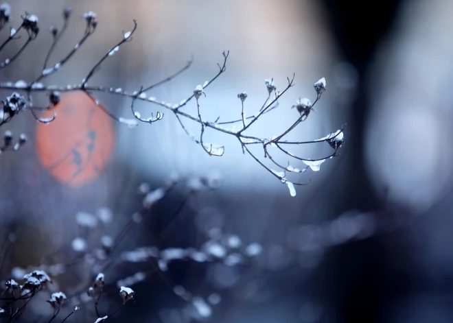 В понедельник ожидается морозная и солнечная погода