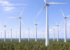 Bērziņa atklātā vēstulē aicina rūpīgi izvērtēt vēja parka izveidi Dienvidkurzemē