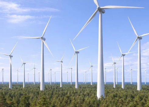 Inga Bērziņa aicina rūpīgi izvērtēt Dienvidkurzemē plānoto vēja parka “K2 Ventum” projektu.