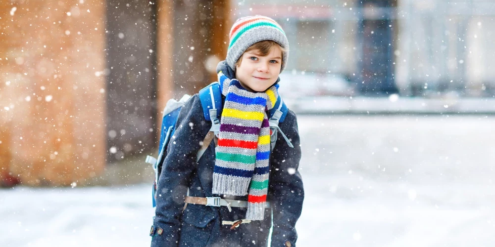 Школьникам до 12 лет разрешено не идти на уроки при -20.