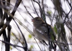 Утро вторника в Латвии - самое холодное за последние два года