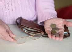 Igaunijas pensiju sistēmai draud krīze, brīdina ekonomists