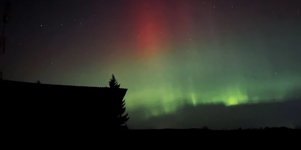 Иллюстративное фото.