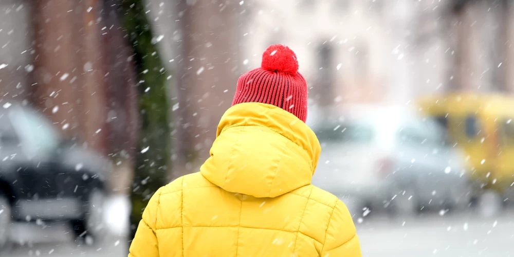 Decembrī Latvijā bija 68,0 tūkstoši bezdarbnieku, kas ir par 1,7 tūkstošiem vairāk nekā novembrī un par 2,3 tūkstošiem vairāk nekā 2024. gada decembrī.