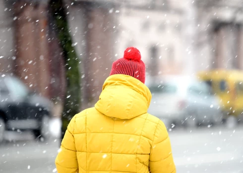 Decembrī Latvijā bija 68,0 tūkstoši bezdarbnieku, kas ir par 1,7 tūkstošiem vairāk nekā novembrī un par 2,3 tūkstošiem vairāk nekā 2024. gada decembrī.