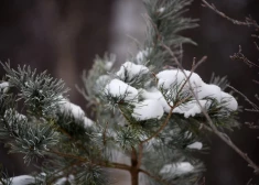 Naktī uz trešdienu gaisa temperatūra noslīdēs līdz -25 grādiem