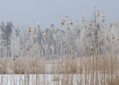 Diennakts vidējā gaisa temperatūra noslīdējusi 11 grādus zem normas