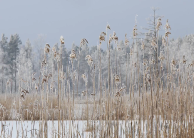 Diennakts vidējā gaisa temperatūra noslīdējusi 11 grādus zem normas