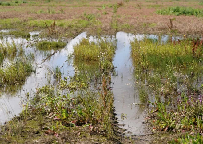 Pērnais gads Latvijā bijis ceturtais siltākais novērojumu vēsturē